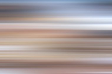 pazarda taze karides