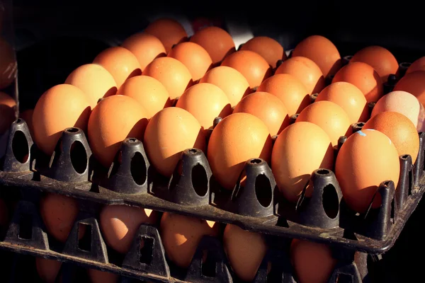 Коричневые яйца на ферме и в тени — стоковое фото