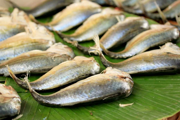 Ikan mackerel di pasar — Stok Foto