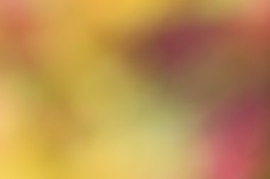 bulanık çiçek arka plan