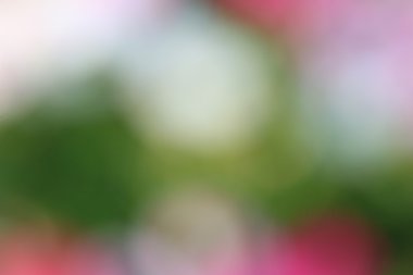 bulanık çiçek arka plan