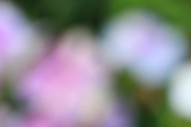 bulanık çiçek arka plan