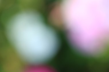 bulanık çiçek arka plan