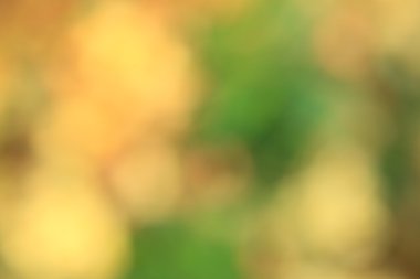 bulanık çiçek arka plan