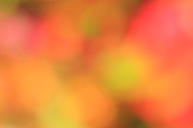 bulanık çiçek arka plan