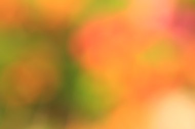 bulanık çiçek arka plan