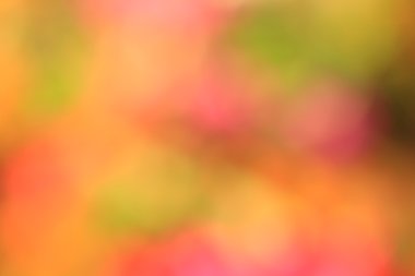 bulanık çiçek arka plan