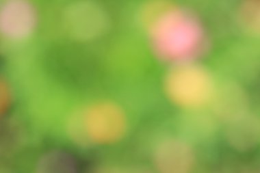 bulanık çiçek arka plan