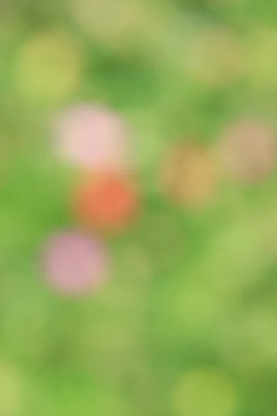Suddig blommor bakgrund — Stockfoto