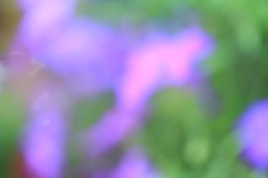 renkli arka plan bulanık