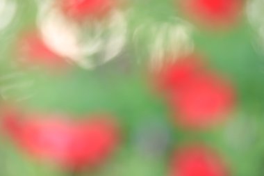 renkli arka plan bulanık