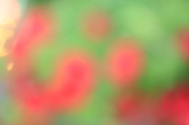 renkli arka plan bulanık