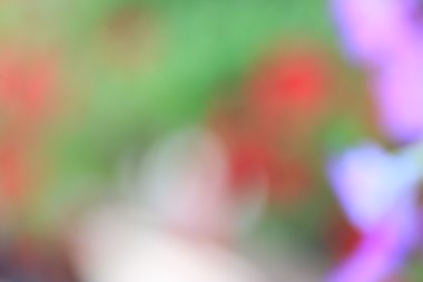 renkli arka plan bulanık