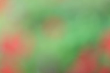 renkli arka plan bulanık