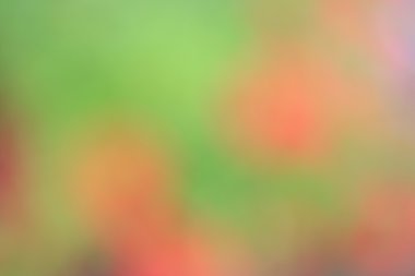 renkli arka plan bulanık