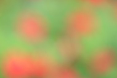 renkli arka plan bulanık