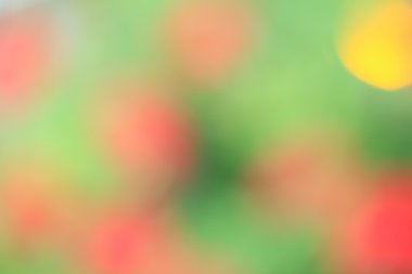 renkli arka plan bulanık