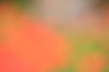 renkli arka plan bulanık