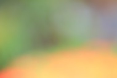 renkli arka plan bulanık