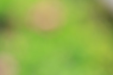 renkli arka plan bulanık