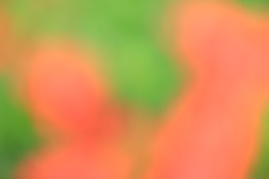 renkli arka plan bulanık