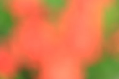 renkli arka plan bulanık