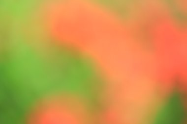 renkli arka plan bulanık