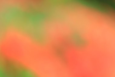 renkli arka plan bulanık