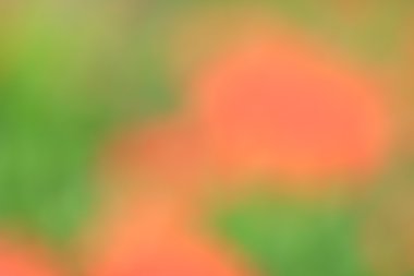 renkli arka plan bulanık