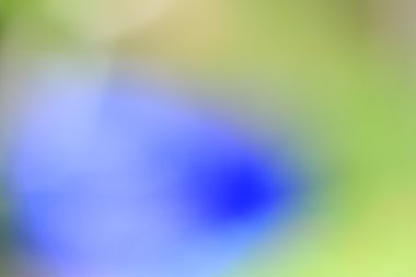 renkli arka plan bulanık