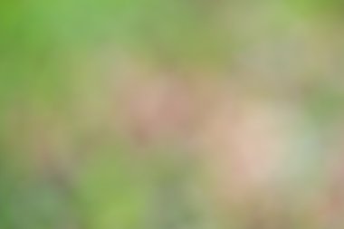 renkli arka plan bulanık