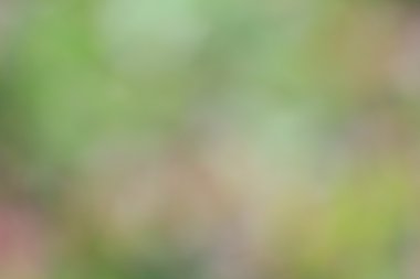 renkli arka plan bulanık