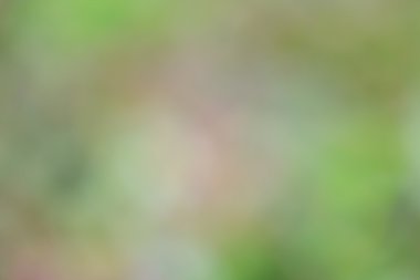 renkli arka plan bulanık