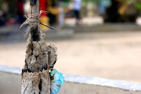 Bâtonnets d'encens brûlant au temple — Photo