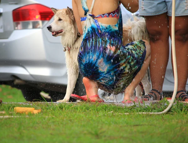 ぼやけている女性の犬を入浴 — ストック写真