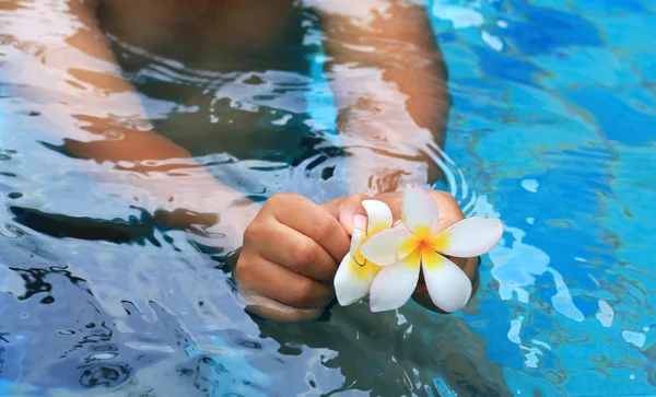 Flor de frangipani turva — Fotografia de Stock