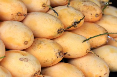 Markette olgun mango