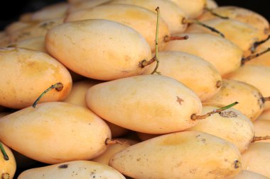 Markette olgun mango