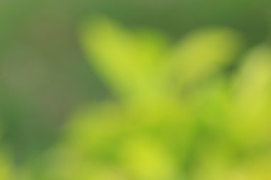 renkli arka plan bulanık