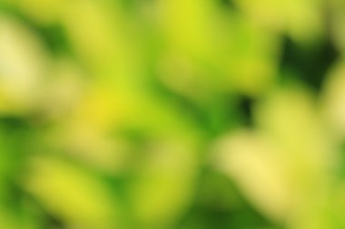 renkli arka plan bulanık