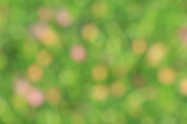 bulanık çiçek arka plan