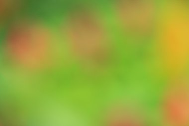 bulanık çiçek arka plan