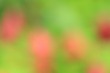 bulanık çiçek arka plan