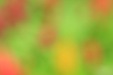 bulanık çiçek arka plan