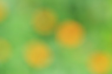 bulanık çiçek arka plan