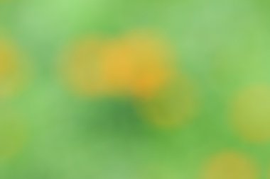 bulanık çiçek arka plan