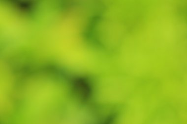 renkli arka plan bulanık