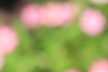 bulanık çiçek arka plan