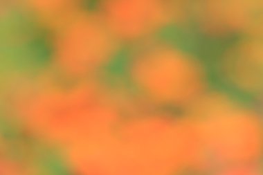 bulanık çiçek arka plan