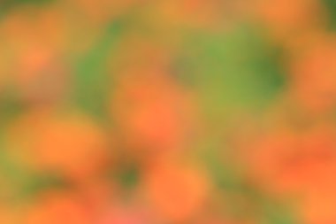 bulanık çiçek arka plan